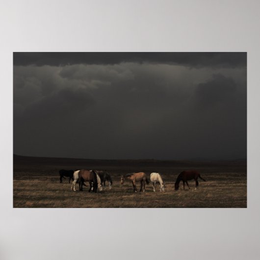 Riemen van het Storm Poster (Voorkant)