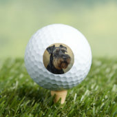 Riesenschnauzer Golfballen (Insitu Shirt)