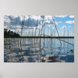 Riet en reflecties op Rice Lake Poster