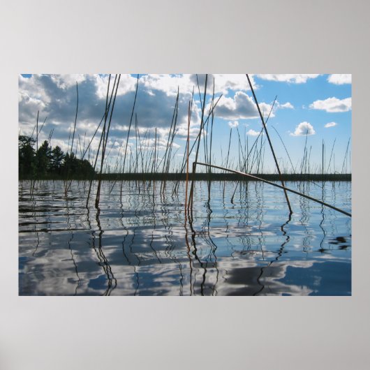 Riet en reflecties op Rice Lake Poster (Voorkant)