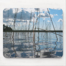 Riet en weerspiegelingen op Rice Lake