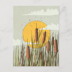 Riet in de Zonsondergang Briefkaart