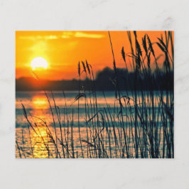 Riet in scrapbook achtergrond bij zonsondergang