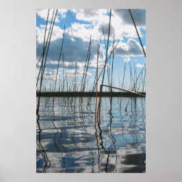 Riet op Rice Lake – Opper-Halfrond Poster