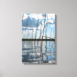 Riet reeds op Rice Lake – Boven-Hoogvlakte Canvas Afdruk