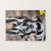 rietcorso pup 2.png legpuzzel (Horizontaal)