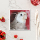 Rietganzen Servet (Insitu)