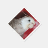 Rietganzen Servet (Hoek)