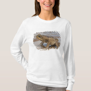 Rietpad Rhinella marina, voorheen Bufo T-shirt
