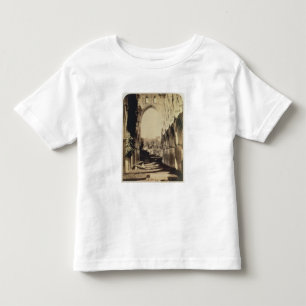 Rievaulx Abbey, North Yorkshire, 1854 (foto sepia) Kinder Shirts