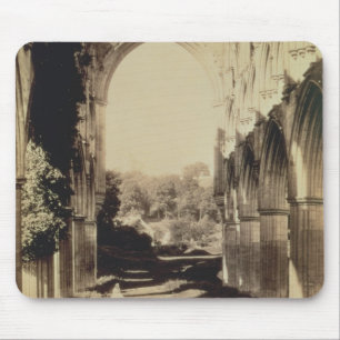 Rievaulx Abbey, North Yorkshire, 1854 (foto sepia) Muismat