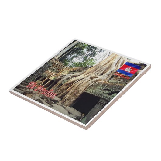 Rif. KH Cambodia, TA Prohm Tegeltje (Zijkant)