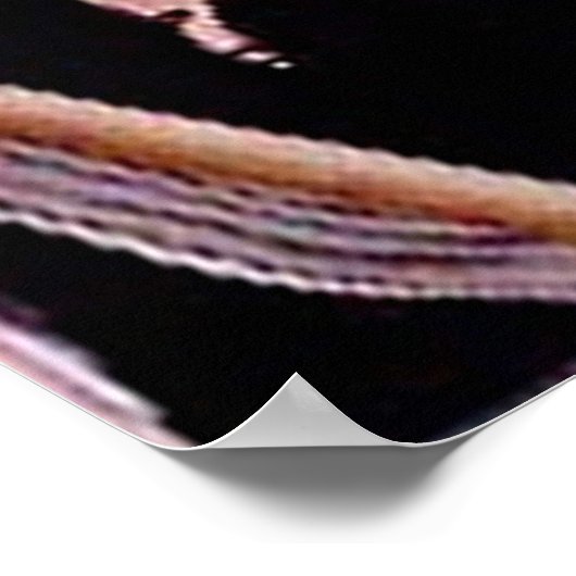 Riff Raff en Magenta Poster (Hoek)