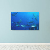 Rifhaai verpakt Canvas Afdruk (Insitu (Houten vloer))