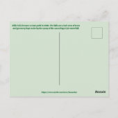 Rifle Falls State Park Briefkaart (Achterkant)