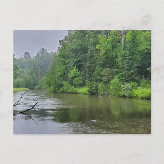 Rifle River, West Branch, Michigan Briefkaart (Voorkant)
