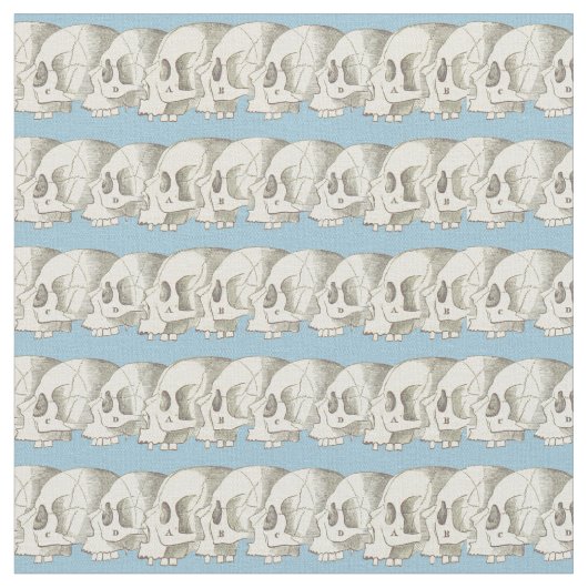 rij der schedels stof (Close Up)