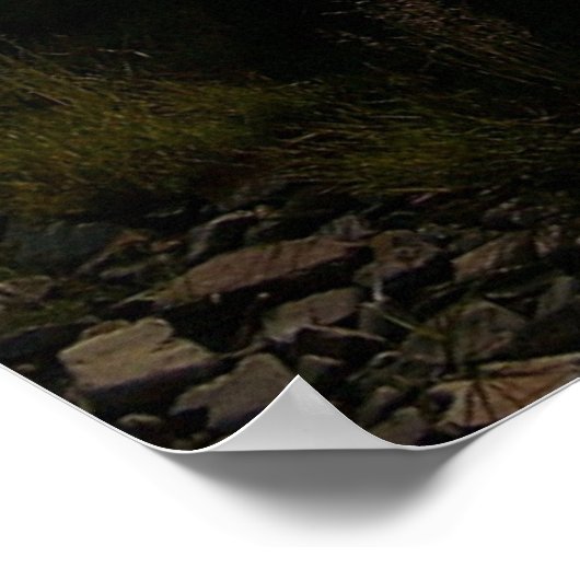 Rij je Poster (Hoek)