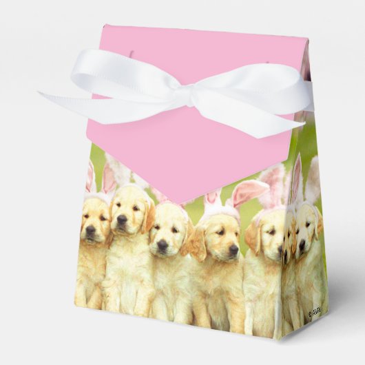 Rij Konijn Puppy's Bedankdoosjes (Voorkant Zijde)