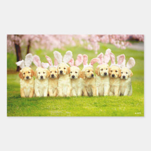 Rij Konijn Puppy's Rechthoekige Sticker