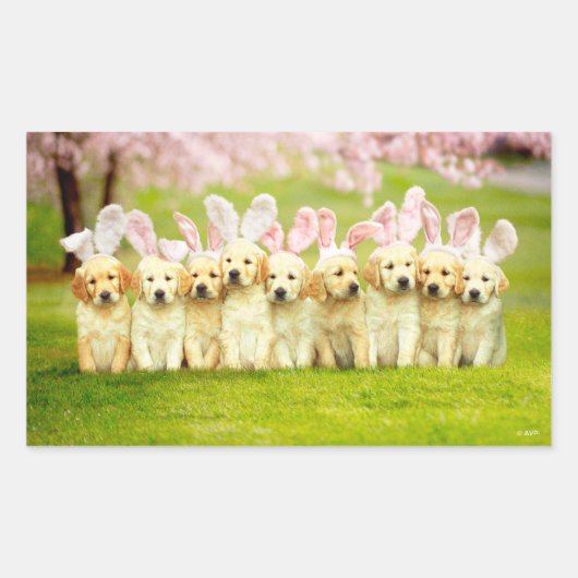 Rij Konijn Puppy's Rechthoekige Sticker (Voorkant)