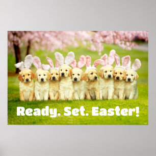 Rij Konijnachtige Puppies Poster