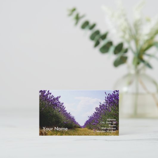 Rij Lavender Visitekaartje (Staand voorkant)
