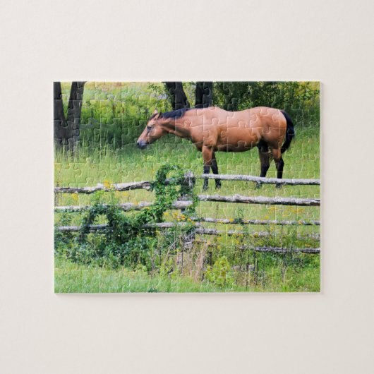 Rij meer - minder zorgen - paardenschaal - 8x10 legpuzzel (Horizontaal)