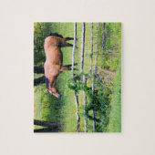Rij meer - minder zorgen - paardenschaal - 8x10 legpuzzel (Verticaal)