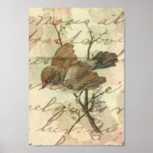  rij met handgeschreven achtergrond poster (Voorkant)