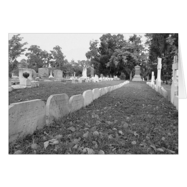 Rij Nuns (Voorkant Horizontaal)