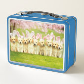 Rij puppy konijnen (Achterkant)