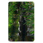 Rij schildpadden groene natuur foto magneet (Verticaal)