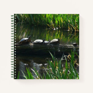 Rij schildpadden groene natuur foto notitieboek