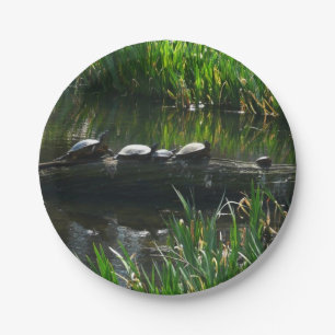 Rij schildpadden groene natuur foto papieren bordje