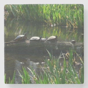 Rij schildpadden groene natuur foto stenen onderzetter