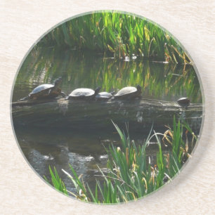 Rij schildpadden groene natuur foto zandsteen onderzetter