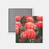 Rij van Cactussen magneet (Voorkant / Achterkant)