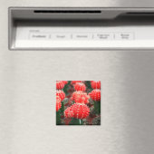 Rij van Cactussen magneet (Insitu (Vaatwasser))