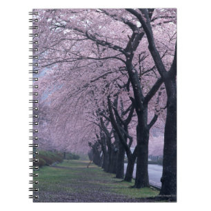 Rij van cherryblossom-bomen notitieboek