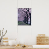 Rij van cherryblossom-bomen poster (Keuken)