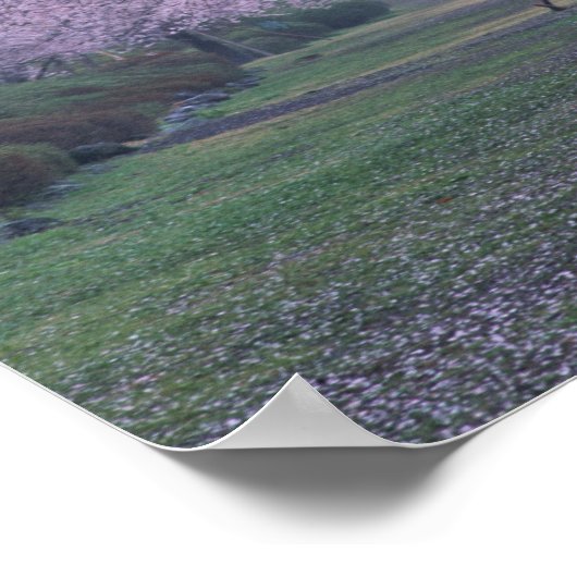 Rij van cherryblossom-bomen poster (Hoek)