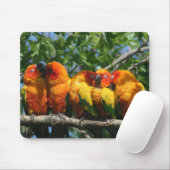 Rij van Cute Little Parrots Snuggling Muismat (Met muis)