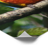 Rij van Cute Little Parrots Snuggling Poster (Hoek)