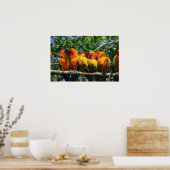 Rij van Cute Little Parrots Snuggling Poster (Keuken)