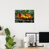 Rij van Cute Little Parrots Snuggling Poster (Thuiskantoor)