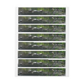 Rij van de groene Natuur van Turtles Foto (Vel)