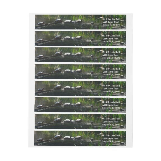 Rij van de groene Natuur van Turtles Foto (Vel)