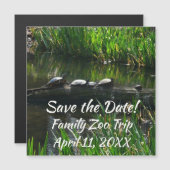 Rij van de groene Natuur van Turtles Foto (Voorkant / Achterkant)