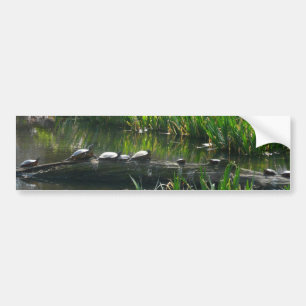 Rij van de groene Natuur van Turtles Foto Bumpersticker
